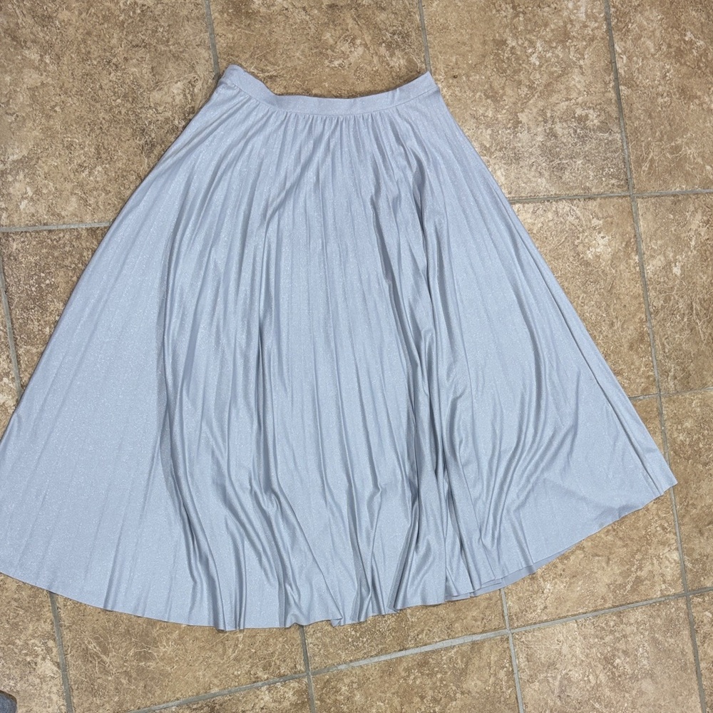 Elegant Shiny Silver Pleated Skirt